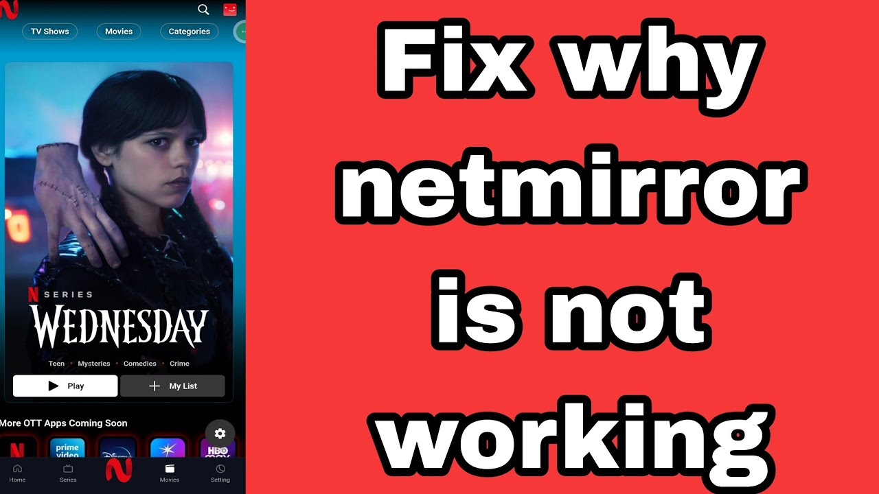 Why Netmirror is not working?